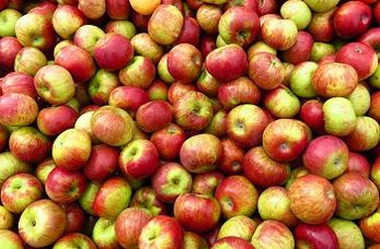 Diet Apple Untuk Berat Badan